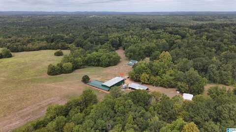 6040 E HIGHWAY 28, PINE APPLE, AL 36768