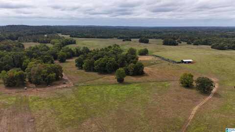 6040 E HIGHWAY 28, PINE APPLE, AL 36768