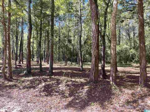 1601 N WOLF CREEK ROAD, PELL CITY, AL 35125