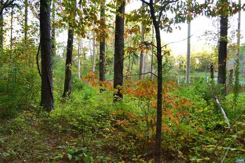 2A SCOTTSVILLE RD, CHARLOTTESVILLE, VA 22902