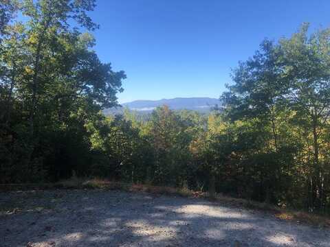 1035 Onion Mountain Rd, Franklin, NC 28734