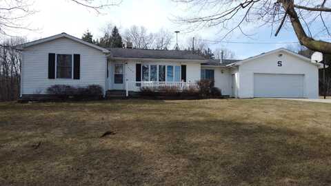 4085 N Cedar Lake Road, Edmore, MI 48829