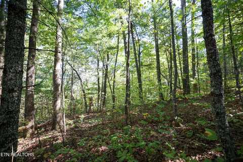 864 Stonegate Way, Townsend, TN 37882