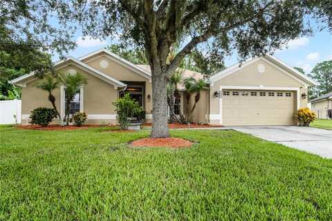 1002 TWISTED BRANCH LANE, SAINT CLOUD, FL 34771