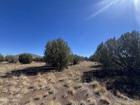 6 Leupp Road, Flagstaff, AZ 86004