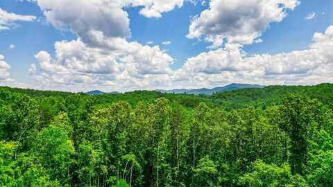 155ac Megan Trace Drive, Turtletown, TN 37391