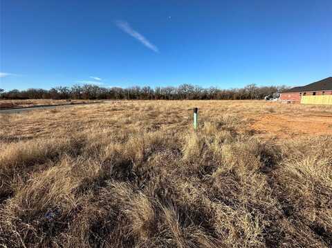 1107 Wild Rose Drive, Tolar, TX 76476