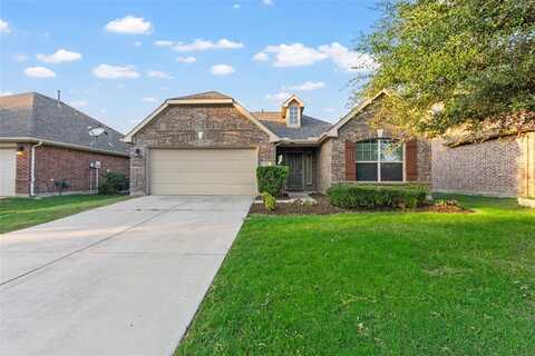 1117 Villa Paloma Boulevard, Little Elm, TX 75068