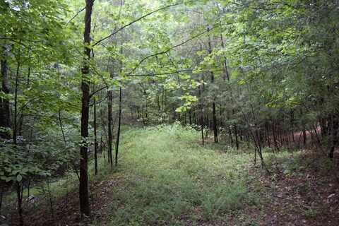 Lot 369 Mt Airy RD, Lynch Station, VA 24571