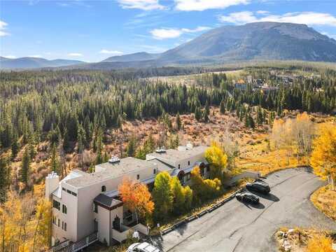 95200 RYAN GULCH ROAD, Silverthorne, CO 80498