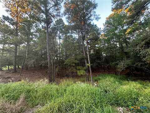 Tbd Moccasin Trail, La Grange, TX 78945