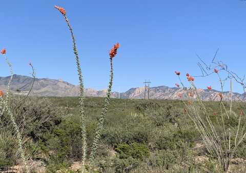 E Dragoon Ranch Road, Saint David, AZ 85630