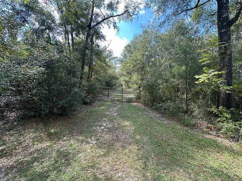 Kathy Ann Drive, Crawfordville, FL 32327