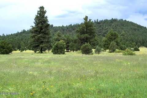 Lot 5b RED CABIN RANCH, Vernon, AZ 85940