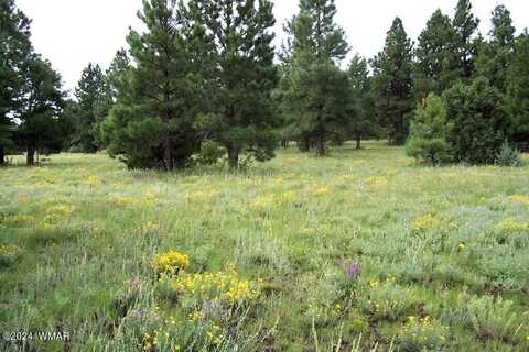 Lot 5a RED CABIN RANCH, Vernon, AZ 85940