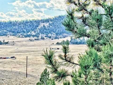 115 Black Canyon Court, Hartsel, CO 80449