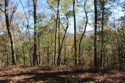 Highland Trail, Lewisburg, WV 24901