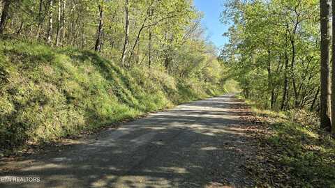 Tbd Lower Wallens Creek Rd, Jonesville, VA 24263