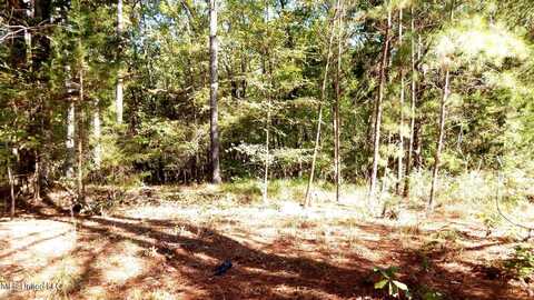 14 5012 Country Road, Como, MS 38619