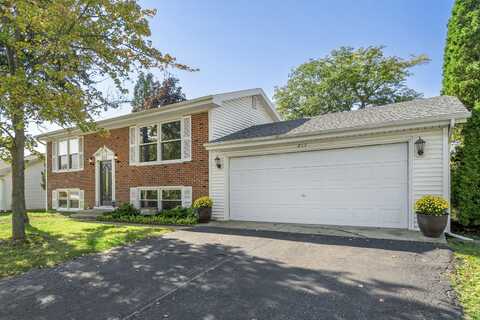 217 Lafayette Drive, Bolingbrook, IL 60440