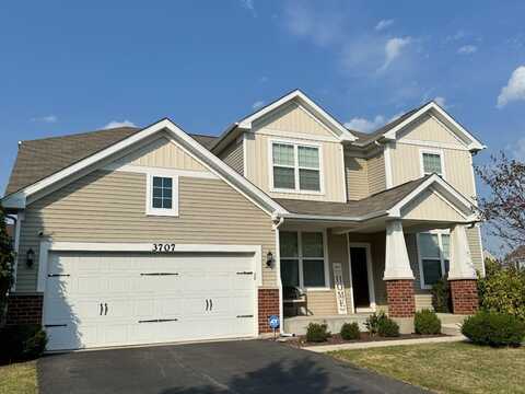 3707 Birch Lane, Naperville, IL 60564