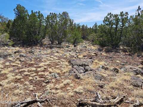 838 Bighorn Trail, Williams, AZ 86046