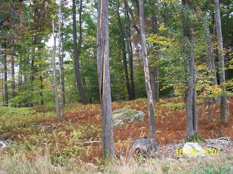 Lot 13 NOAH Court, Canadensis, PA 18325