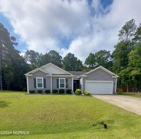 111 Old Dock Landing Road, Sneads Ferry, NC 28460