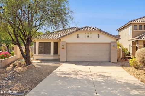 3351 E Hononegh Drive, Phoenix, AZ 85050