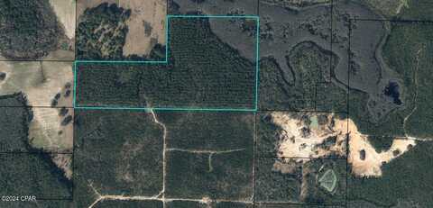 Tbd Douglas Ferry Road, Vernon, FL 32462