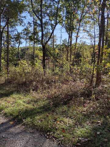 000 Pine Court, Crossville, TN 38572