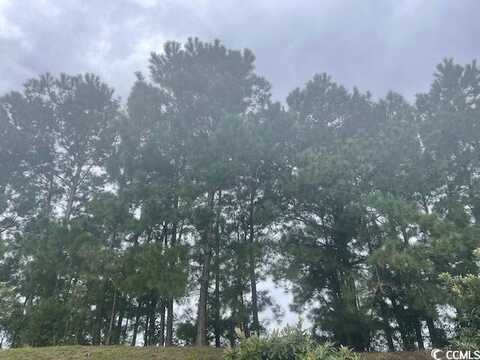TBD Della Rd., Longs, SC 29568
