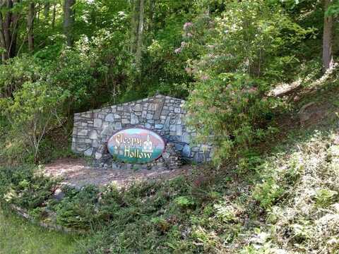 Hudson Valley Drive unit: 11, Waynesville, NC 28786