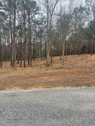 Lot 51 & 52 Lakeview Street, Abbeville, AL 36345