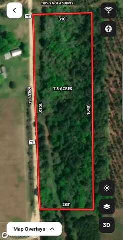 7.5 Ac. +/- Hales St. (Haleburg), Columbia, AL 36319