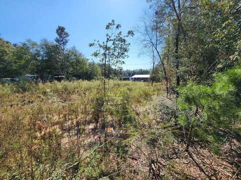 Lot 25 W Royal Palm Avenue, DeFuniak Springs, FL 32433