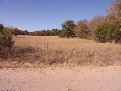 TBD Low Gap RD, Ozark, AR 72949