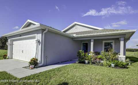 10541 Drew Bryant Circle, Floral City, FL 34436