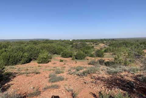 Tbd CR 175, Out Of Area, TX 79530