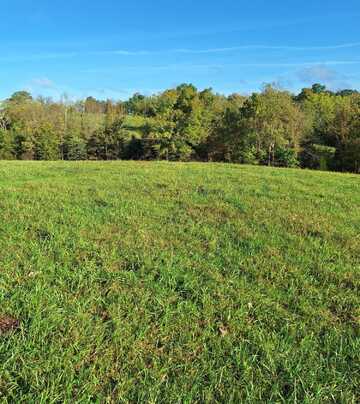 0 Casey Mill Road, Berry, KY 41003