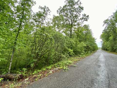 0 Boone Ridge Trail, Monticello, KY 42633