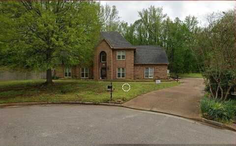 4205 PHEASANT HILLS, Lakeland, TN 38002