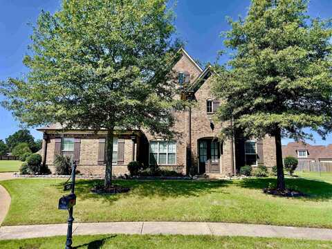 1343 SHALLOW CREEK, Collierville, TN 38017