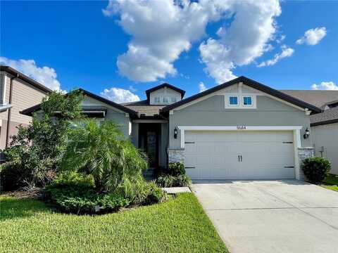 9684 IBIS GROVE BOULEVARD, WESLEY CHAPEL, FL 33545