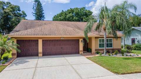 12915 ASTORWOOD PLACE, RIVERVIEW, FL 33579