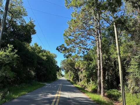 DOG LEG TRAIL, OSTEEN, FL 32764