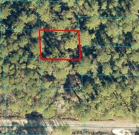 Tbd NE 132 PLACE, CITRA, FL 32113