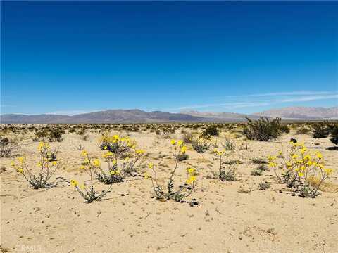 0 Near Shelton Road, 29 Palms, CA 92277