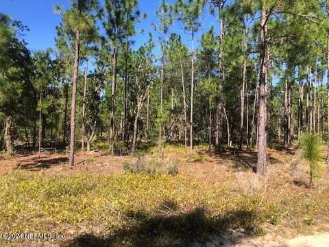 UNASSIGNED LOCATION RE, Hawthorne, FL 32640