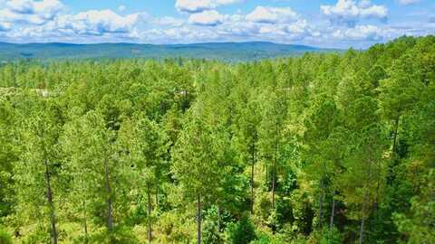 82 Barrell Knot Court, Talking Rock, GA 30175